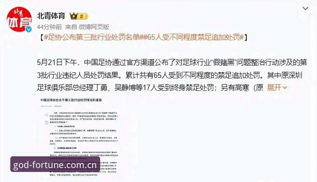 资深用户分享中国足协第三批禁足名单深度解读：这些违规操作背后的警示